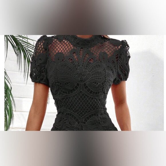 Lace Stand Collar Dress With Ruffle Hem Black - Picture 4 of 6